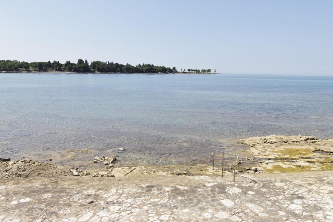 Istrian Villa With Unique Sea View Lovrečica 外观 照片